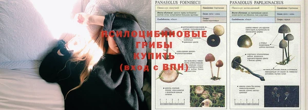 ешки Верхний Тагил