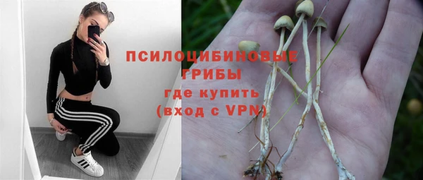 индика Верхнеуральск