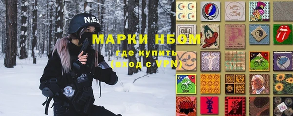 индика Верхнеуральск
