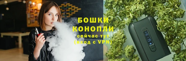 ешки Верхний Тагил