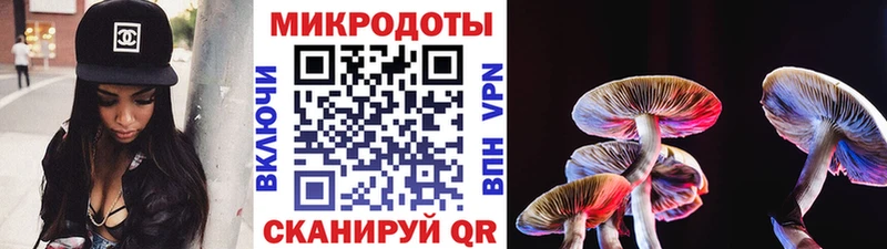 купить наркоту Петропавловск-Камчатский Галлюциногенные грибы GOLDEN TEACHER