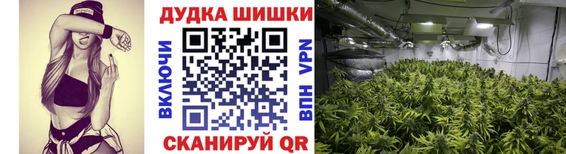 наркотики  Петропавловск-Камчатский  Марихуана THC 21% 